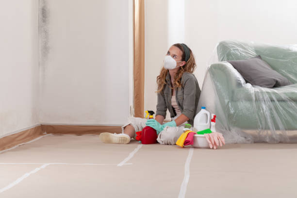 Reliable Black Mold Remediation contractor in Plainview, NY by Car Mold Remediation